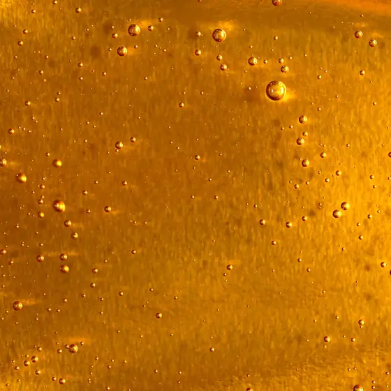 Melanoidinas